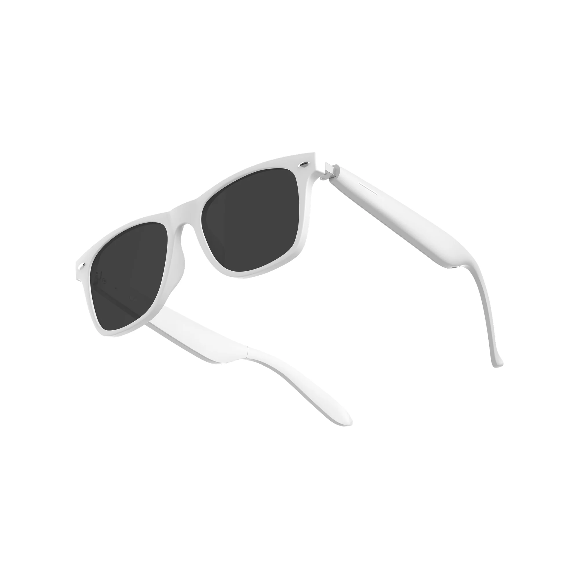 A01 Sunglasses