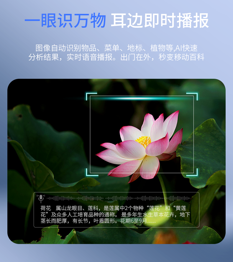 图片10