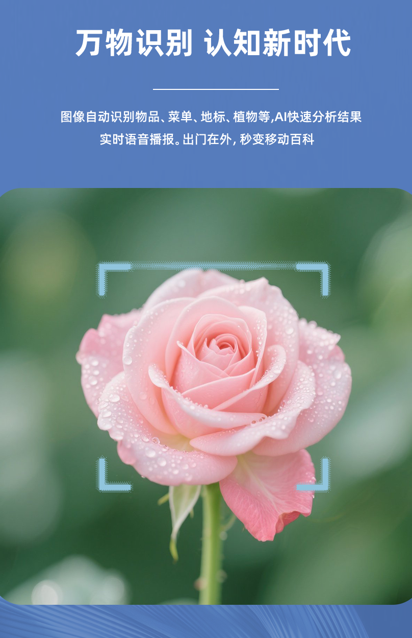 图片10
